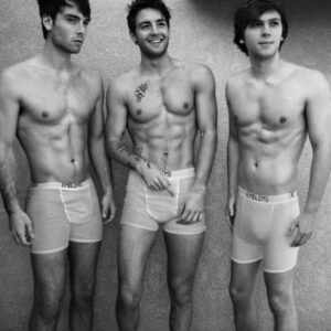 cueca emblem 3